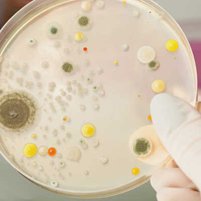 Erneuerung unserer Hygienezertifizierung